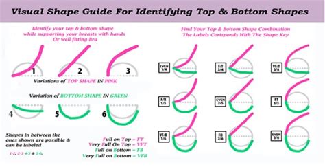 boob lineup|The 12 Different Breast Shapes and Types